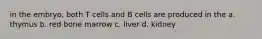 in the embryo, both T cells and B cells are produced in the a. thymus b. red bone marrow c. liver d. kidney