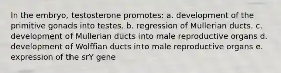 In the embryo, testosterone promotes: a. development of the primitive gonads into testes. b. regression of Mullerian ducts. c. development of Mullerian ducts into male reproductive organs d. development of Wolffian ducts into male reproductive organs e. expression of the srY gene