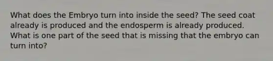 What does the Embryo turn into inside the seed? The seed coat already is produced and the endosperm is already produced. What is one part of the seed that is missing that the embryo can turn into?