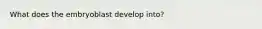 What does the embryoblast develop into?
