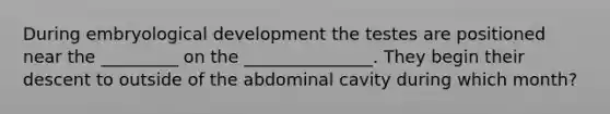 During embryological development the testes are positioned near the _________ on the _______________. They begin their descent to outside of the abdominal cavity during which month?