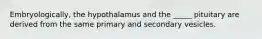 Embryologically, the hypothalamus and the _____ pituitary are derived from the same primary and secondary vesicles.