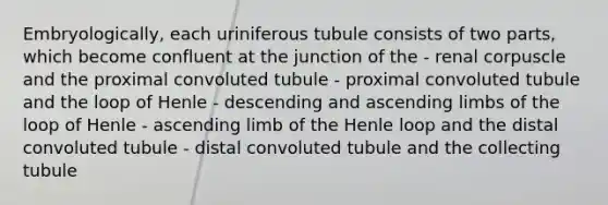 Embryologically, each uriniferous tubule consists of two parts, which become confluent at the junction of the - renal corpuscle and the proximal convoluted tubule - proximal convoluted tubule and the loop of Henle - descending and ascending limbs of the loop of Henle - ascending limb of the Henle loop and the distal convoluted tubule - distal convoluted tubule and the collecting tubule