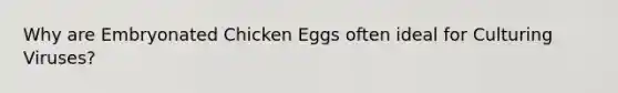 Why are Embryonated Chicken Eggs often ideal for Culturing Viruses?