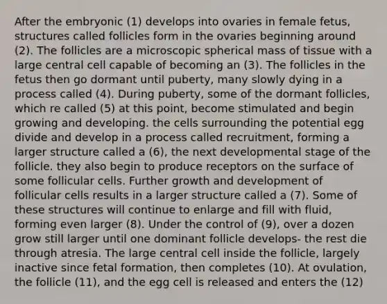 After the embryonic (1) develops into ovaries in female fetus, structures called follicles form in the ovaries beginning around (2). The follicles are a microscopic spherical mass of tissue with a large central cell capable of becoming an (3). The follicles in the fetus then go dormant until puberty, many slowly dying in a process called (4). During puberty, some of the dormant follicles, which re called (5) at this point, become stimulated and begin growing and developing. the cells surrounding the potential egg divide and develop in a process called recruitment, forming a larger structure called a (6), the next developmental stage of the follicle. they also begin to produce receptors on the surface of some follicular cells. Further growth and development of follicular cells results in a larger structure called a (7). Some of these structures will continue to enlarge and fill with fluid, forming even larger (8). Under the control of (9), over a dozen grow still larger until one dominant follicle develops- the rest die through atresia. The large central cell inside the follicle, largely inactive since fetal formation, then completes (10). At ovulation, the follicle (11), and the egg cell is released and enters the (12)