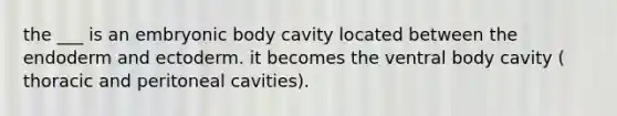 the ___ is an embryonic body cavity located between the endoderm and ectoderm. it becomes the ventral body cavity ( thoracic and peritoneal cavities).