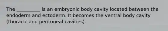 The __________ is an embryonic body cavity located between the endoderm and ectoderm. It becomes the ventral body cavity (thoracic and peritoneal cavities).