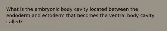 What is the embryonic body cavity located between the endoderm and ectoderm that becomes the ventral body cavity called?