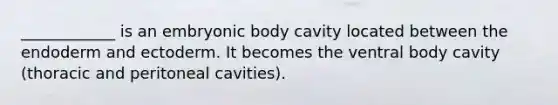 ____________ is an embryonic body cavity located between the endoderm and ectoderm. It becomes the ventral body cavity (thoracic and peritoneal cavities).