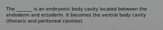 The _______ is an embryonic body cavity located between the endoderm and ectoderm. It becomes the ventral body cavity (thoracic and peritoneal cavities).