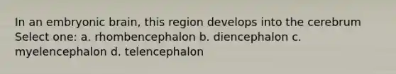 In an embryonic brain, this region develops into the cerebrum Select one: a. rhombencephalon b. diencephalon c. myelencephalon d. telencephalon