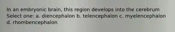 In an embryonic brain, this region develops into the cerebrum Select one: a. diencephalon b. telencephalon c. myelencephalon d. rhombencephalon