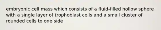 embryonic cell mass which consists of a fluid-filled hollow sphere with a single layer of trophoblast cells and a small cluster of rounded cells to one side