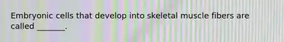 Embryonic cells that develop into skeletal muscle fibers are called _______.