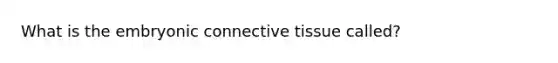 What is the embryonic connective tissue called?