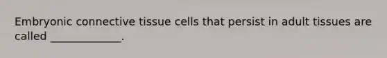 Embryonic connective tissue cells that persist in adult tissues are called _____________.