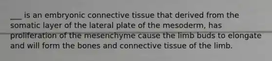 ___ is an embryonic connective tissue that derived from the somatic layer of the lateral plate of the mesoderm, has proliferation of the mesenchyme cause the limb buds to elongate and will form the bones and connective tissue of the limb.