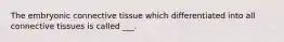 The embryonic connective tissue which differentiated into all connective tissues is called ___.
