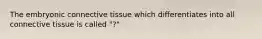 The embryonic connective tissue which differentiates into all connective tissue is called "?"