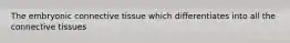 The embryonic connective tissue which differentiates into all the connective tissues