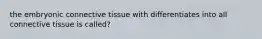 the embryonic connective tissue with differentiates into all connective tissue is called?