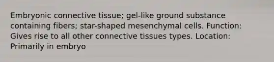 Embryonic connective tissue; gel-like ground substance containing fibers; star-shaped mesenchymal cells. Function: Gives rise to all other connective tissues types. Location: Primarily in embryo