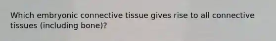 Which embryonic connective tissue gives rise to all connective tissues (including bone)?