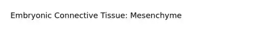 Embryonic Connective Tissue: Mesenchyme