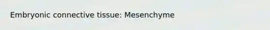 Embryonic connective tissue: Mesenchyme