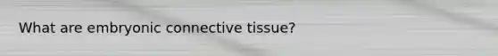 What are embryonic connective tissue?