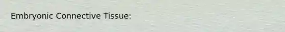 Embryonic Connective Tissue: