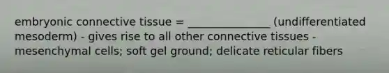 embryonic connective tissue = _______________ (undifferentiated mesoderm) - gives rise to all other connective tissues - mesenchymal cells; soft gel ground; delicate reticular fibers