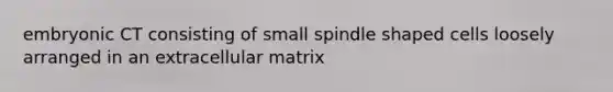 embryonic CT consisting of small spindle shaped cells loosely arranged in an extracellular matrix