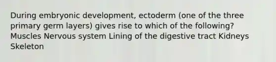 During embryonic development, ectoderm (one of the three primary germ layers) gives rise to which of the following? Muscles Nervous system Lining of the digestive tract Kidneys Skeleton