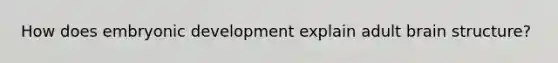 How does embryonic development explain adult brain structure?