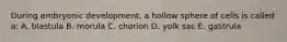 During embryonic development, a hollow sphere of cells is called a: A. blastula B. morula C. chorion D. yolk sac E. gastrula