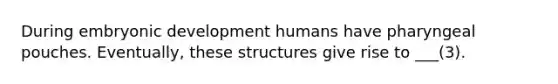 During embryonic development humans have pharyngeal pouches. Eventually, these structures give rise to ___(3).
