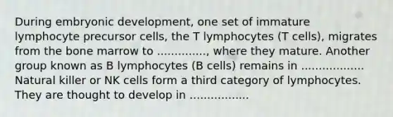 During embryonic development, one set of immature lymphocyte precursor cells, the T lymphocytes (T cells), migrates from the bone marrow to .............., where they mature. Another group known as B lymphocytes (B cells) remains in .................. Natural killer or NK cells form a third category of lymphocytes. They are thought to develop in .................