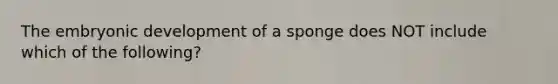 The embryonic development of a sponge does NOT include which of the following?