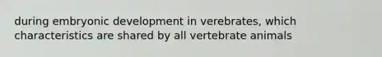 during embryonic development in verebrates, which characteristics are shared by all vertebrate animals