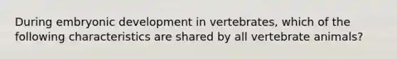 During embryonic development in vertebrates, which of the following characteristics are shared by all vertebrate animals?