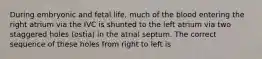 During embryonic and fetal life, much of the blood entering the right atrium via the IVC is shunted to the left atrium via two staggered holes (ostia) in the atrial septum. The correct sequence of these holes from right to left is
