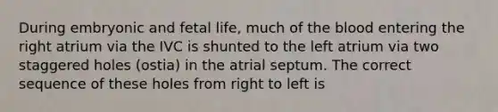 During embryonic and fetal life, much of the blood entering the right atrium via the IVC is shunted to the left atrium via two staggered holes (ostia) in the atrial septum. The correct sequence of these holes from right to left is