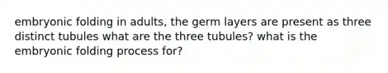 embryonic folding in adults, the germ layers are present as three distinct tubules what are the three tubules? what is the embryonic folding process for?