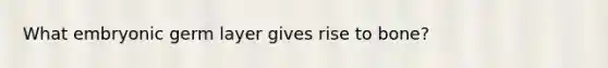 What embryonic germ layer gives rise to bone?