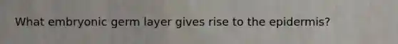 What embryonic germ layer gives rise to the epidermis?