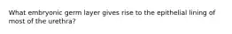 What embryonic germ layer gives rise to the epithelial lining of most of the urethra?