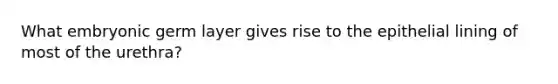 What embryonic germ layer gives rise to the epithelial lining of most of the urethra?