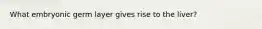 What embryonic germ layer gives rise to the liver?