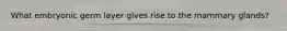 What embryonic germ layer gives rise to the mammary glands?